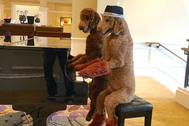 999132435B44A2FC133A2C