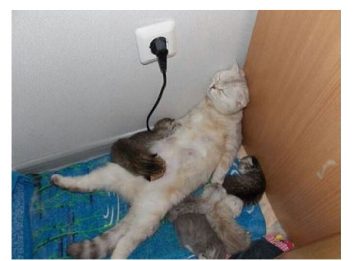 육아에 지친 엄마 | 인스티즈