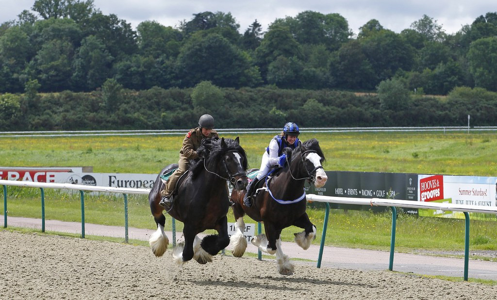 994D403E5BB7686025EE74