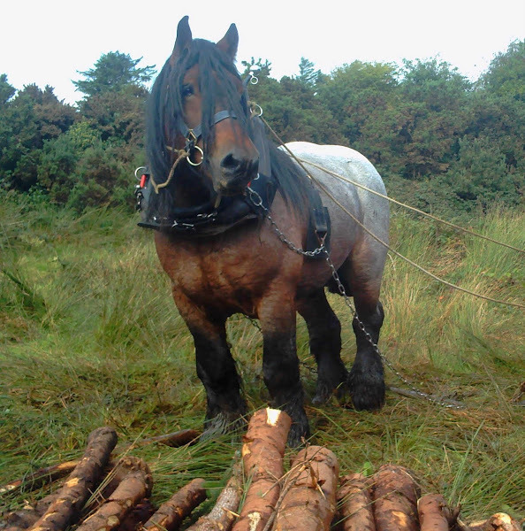 99CC193E5BB7685F1AD606