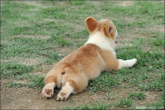 2103B93B5747EC2C346BF7