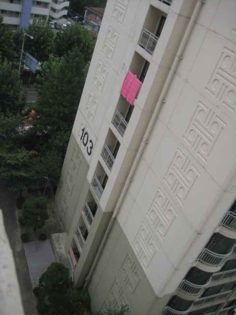 2473AF4F56A8536904936C