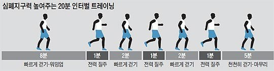 뱃살 빼는데 최고의 운동