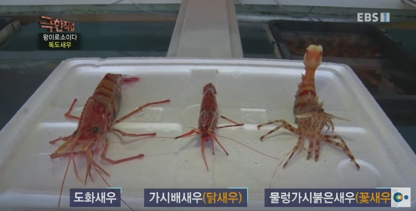 9974493E5AD5388F0CBA00