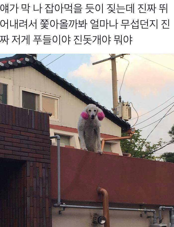 99B055485B44A2FC143B3E