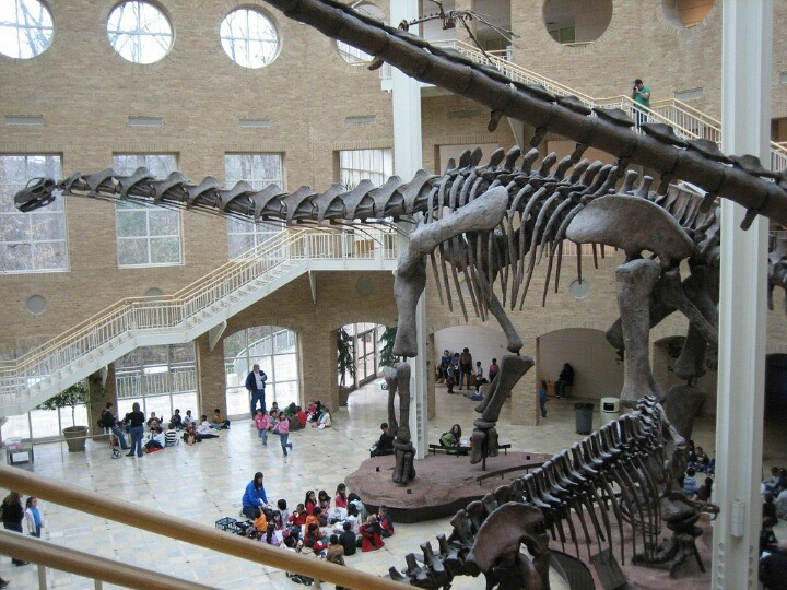 99BC594B5AE5C0C0083305