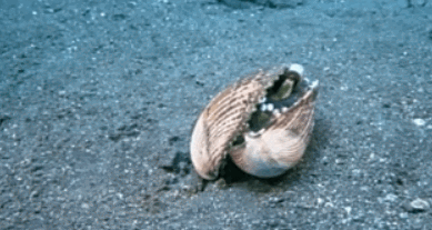 99923D3D5AF9EDAE01BF46