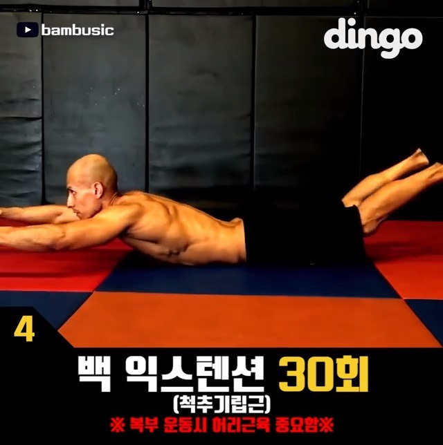 2617893358566381132317