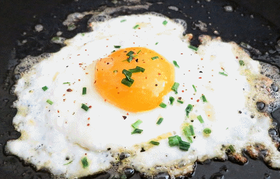  왜 계란(鷄卵)이 위대한가? | 인스티즈