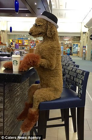 994F6E465B44A2FD10E081