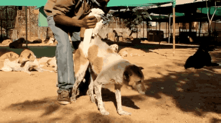 998264435B033132314AF9