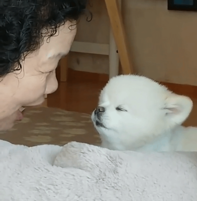 998C82415C9869542B12DC