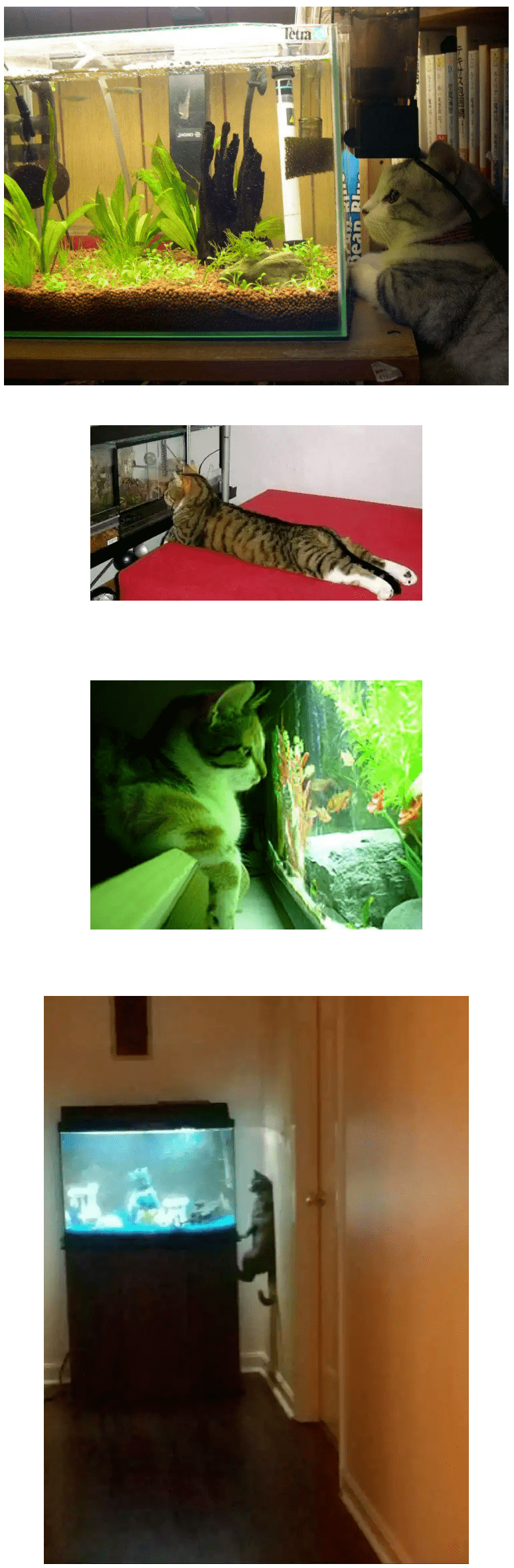 9926A2485CE1FB630E95B0