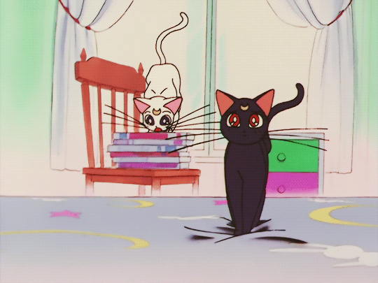 998ABB4A5ADDFD283255E8