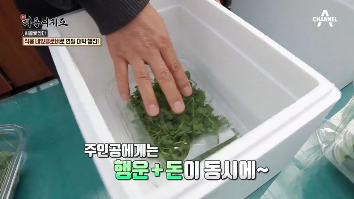 99CF71415A9EBC792D9364