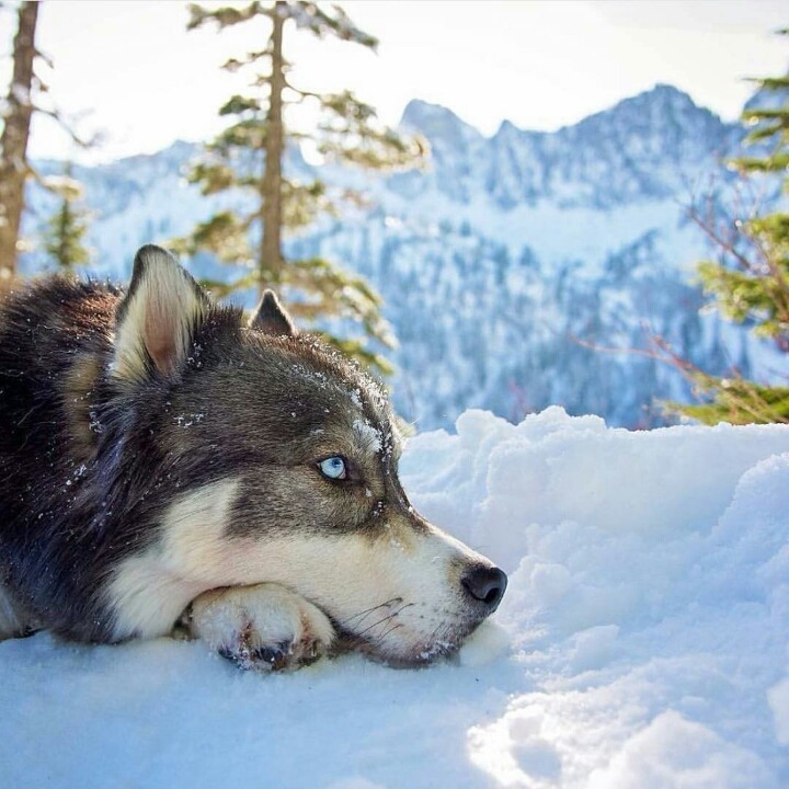 2470963556A8F45C10FB86