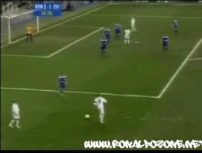 262AD24A5764C5AB04D83E