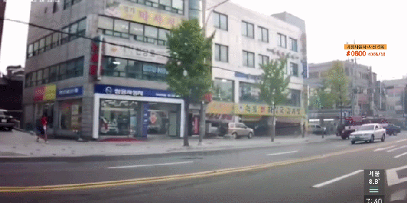 무단횡단하는 사람이 짐승만도 못한 이유 ㄷㄷㄷㄷ | 인스티즈