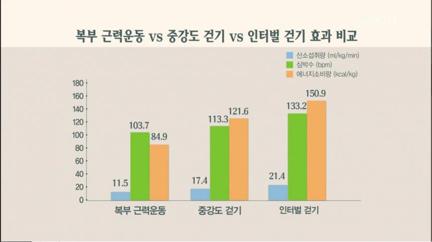 뱃살 빼는데 최고의 운동