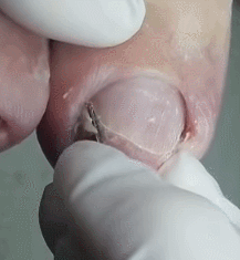 9978823C5CDD45B5131802