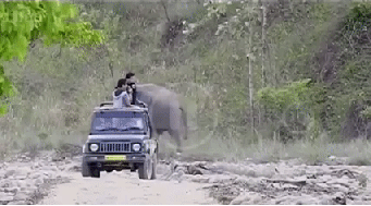 99D6B73D5B08748C2C3E09