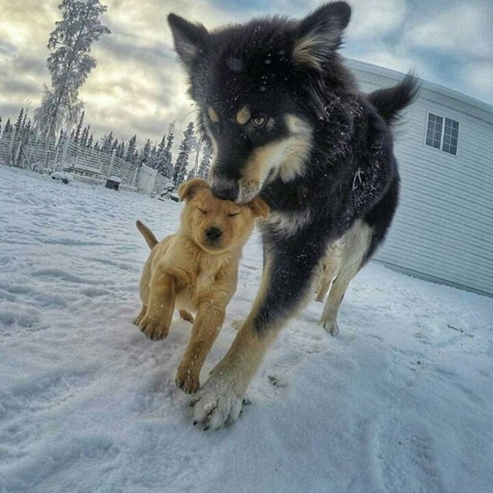 213AC43456A8F468027C87