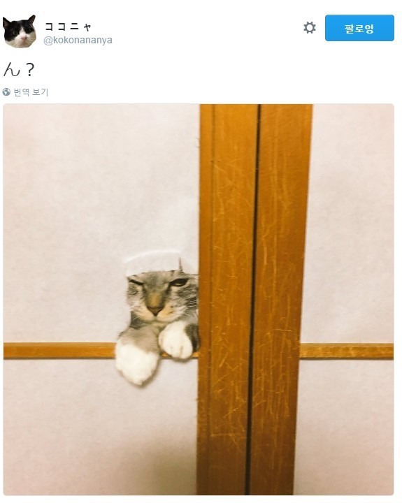 22638A4C5959CD452F5299