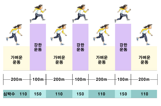 뱃살 빼는데 최고의 운동