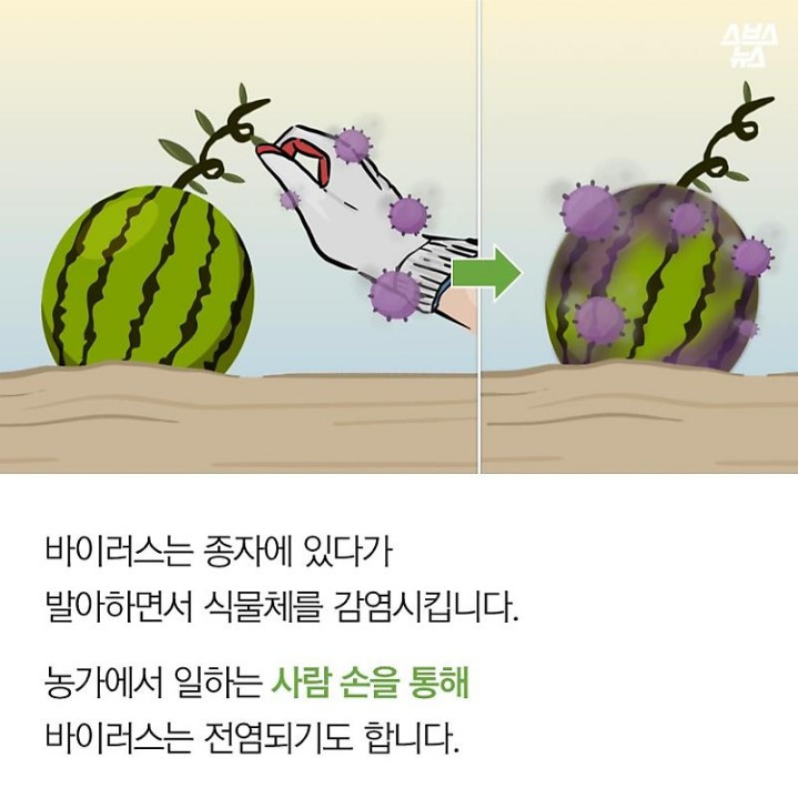 992F8B4A5B2FA8972DA774