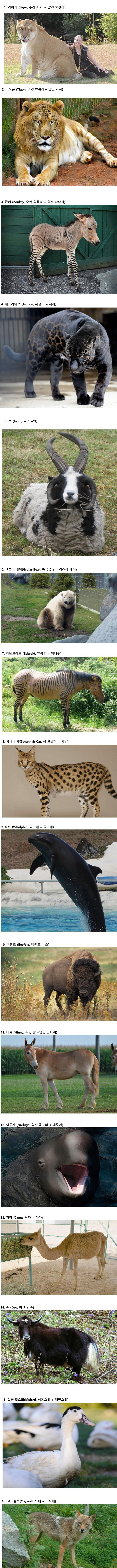 993D4C495AC469C50701B3