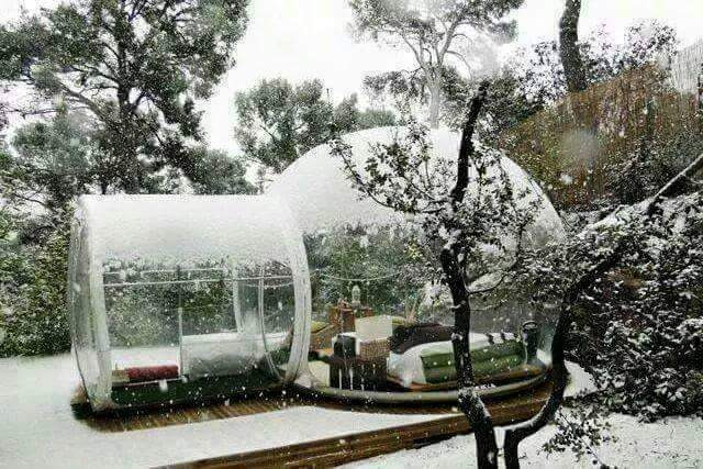 2555B24B5539F31D14EAF0