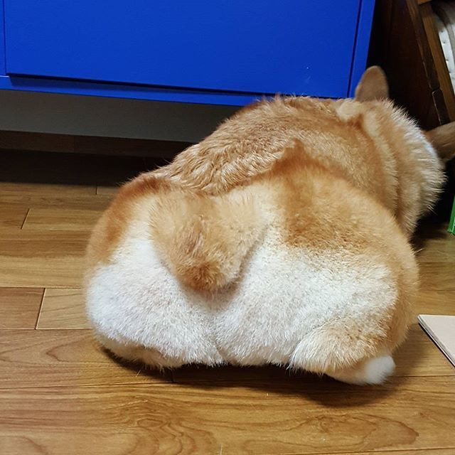 2574F1335747EC2B02032F