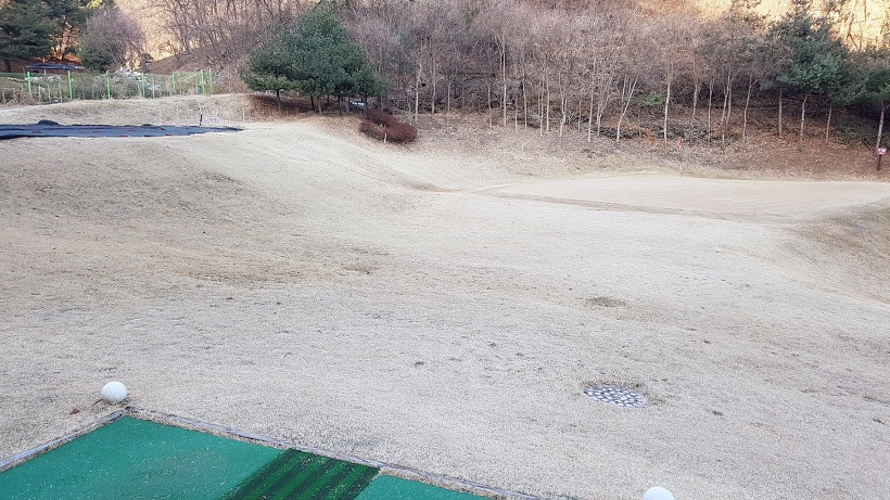 99D0CC505A9A541C295213