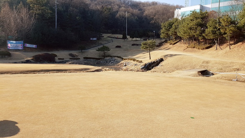 99E28C3B5A9A50A024C007