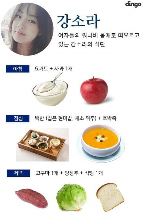 다이어트 대박난 여자 연예인 식단 | 인스티즈