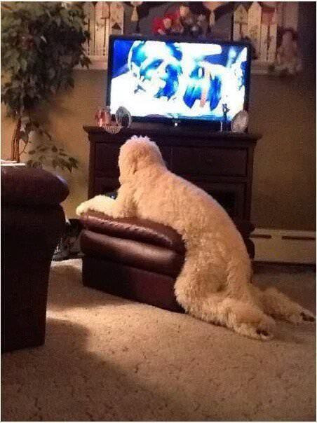 995DF5475B44A2FB31AA0F