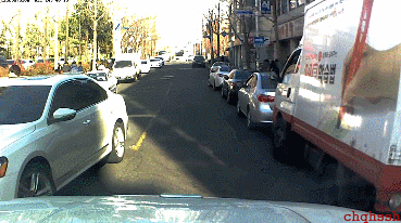 무단횡단하는 사람이 짐승만도 못한 이유 ㄷㄷㄷㄷ | 인스티즈