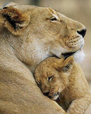 2309F03756A8F46B197DC3