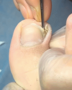 99D48F3C5CDD45B719BE2E