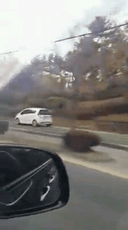 인도차.gif | 인스티즈