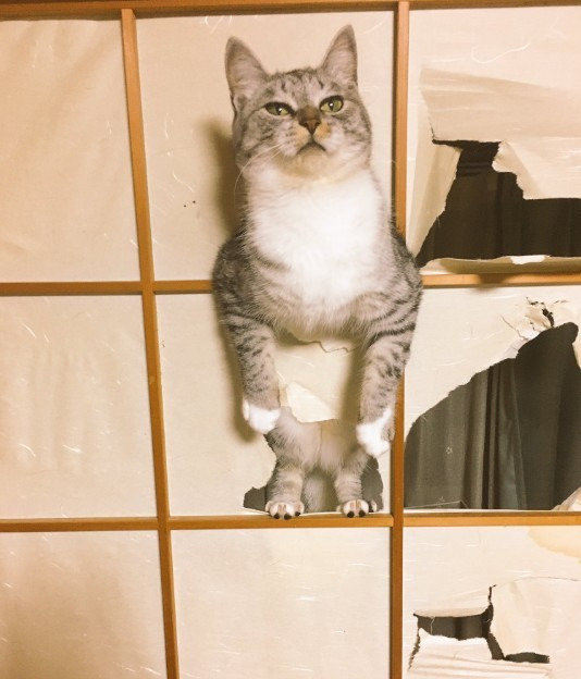 2337774C5959CD4633D79B