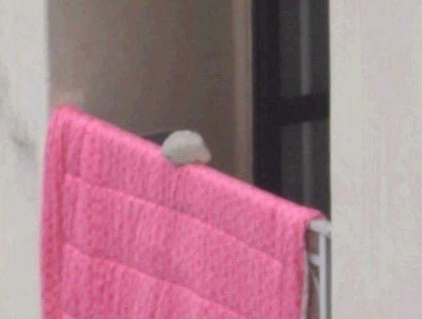 2347CE4F56A85369081497