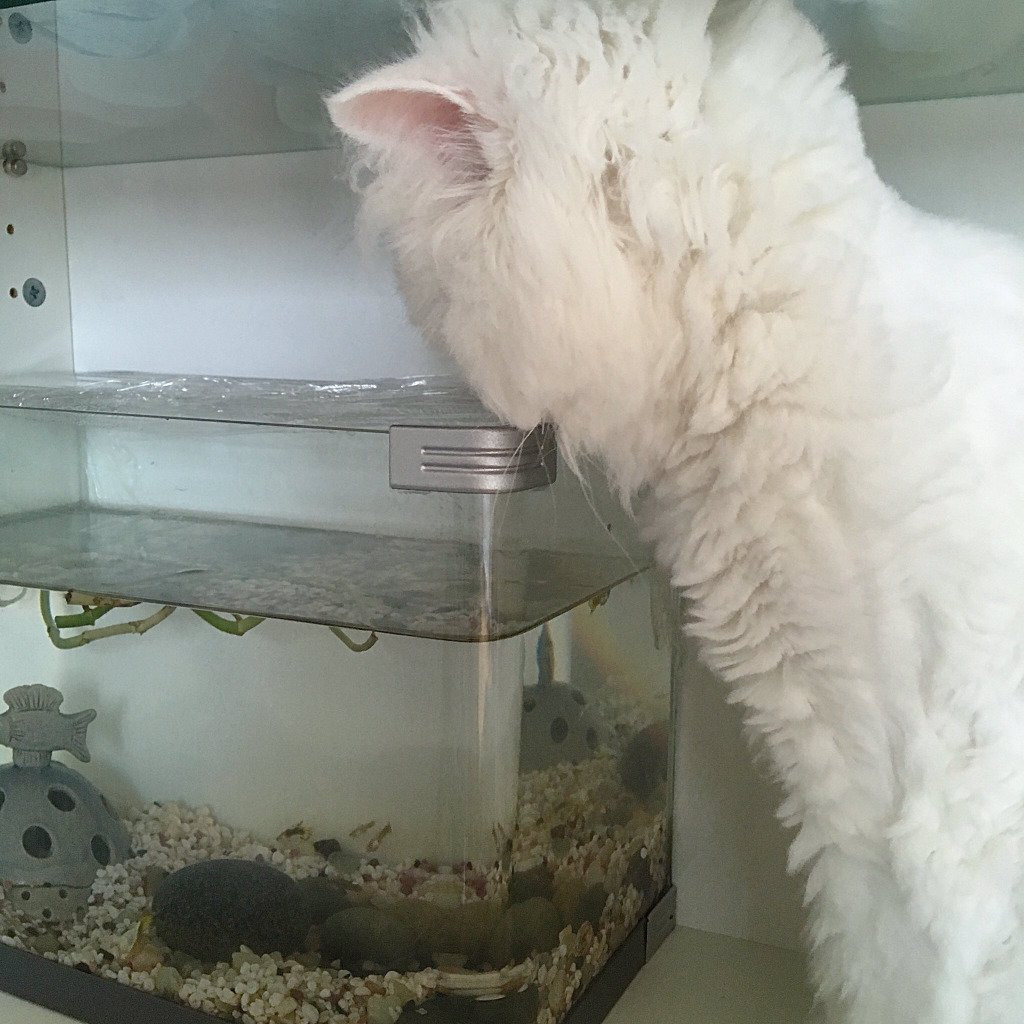 99D9A5475CE1FB610C3DDB