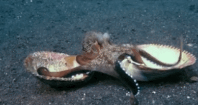 9992193D5AF9EDAC01ADBA