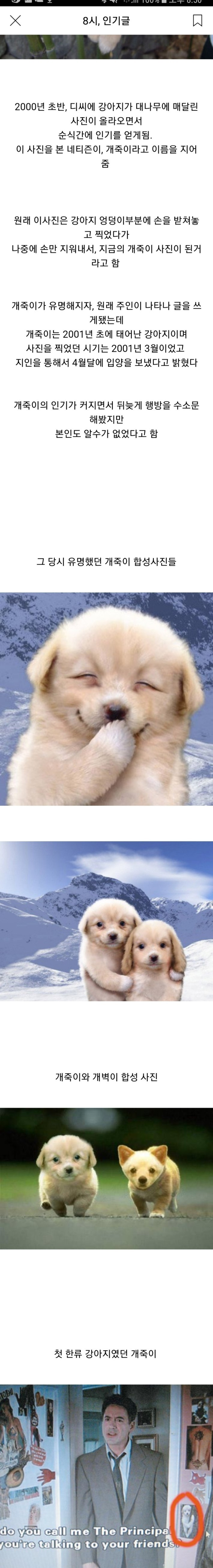 99AD734B5B961A2B189678