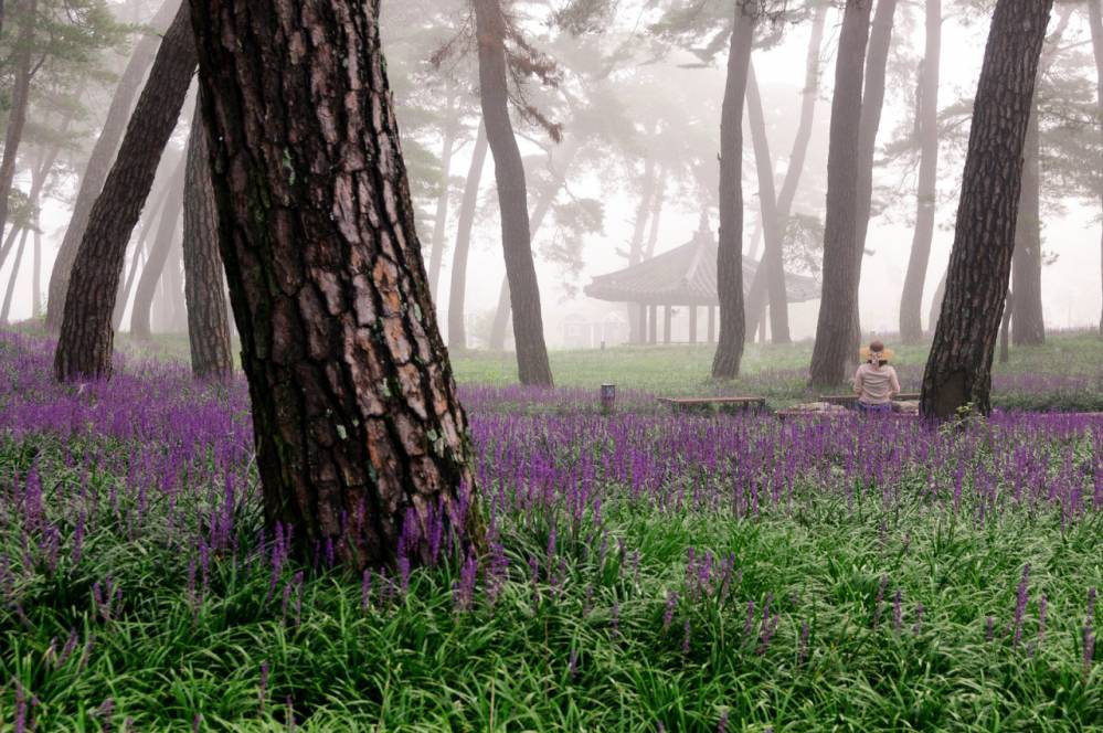 2201CD4756A84AAB07685A