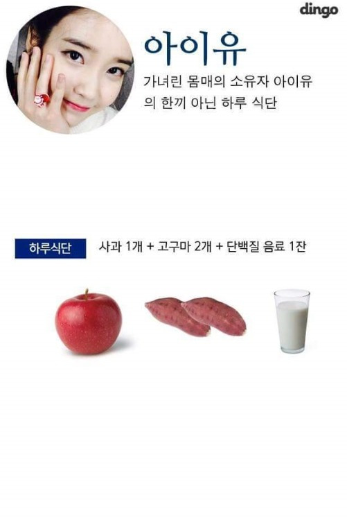 다이어트 대박난 여자 연예인 식단 | 인스티즈