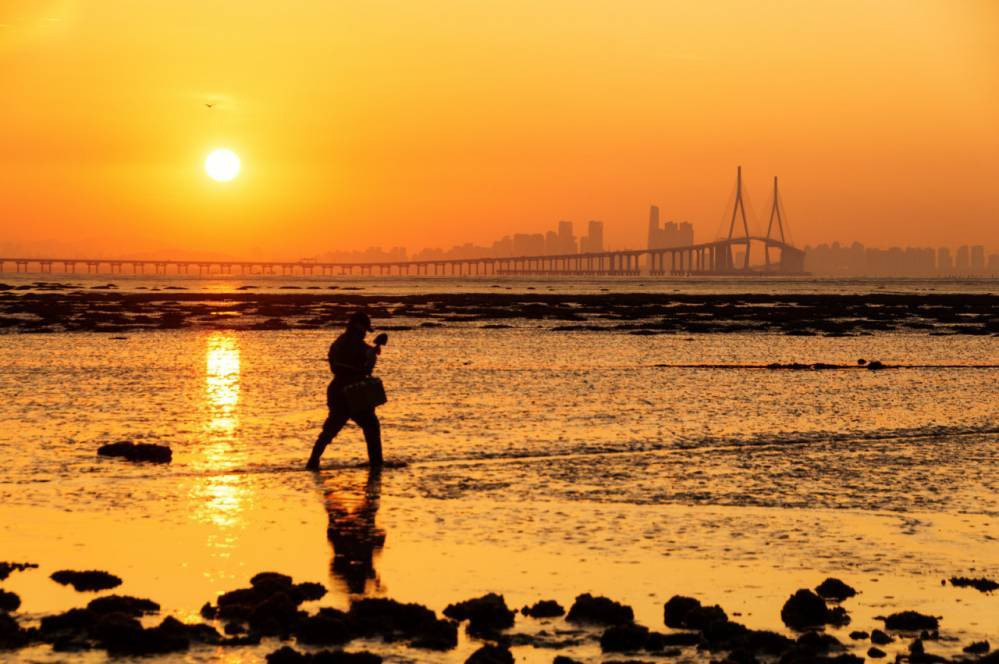 231CCD5056A84A98068D3E