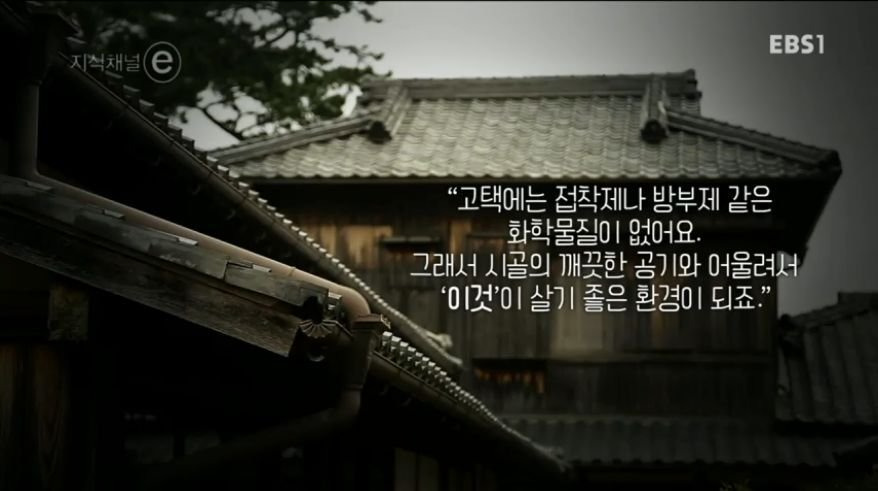 997149425B244A1D34DF87