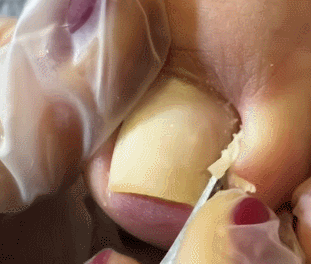 99C8C6365CD950272B7AFC